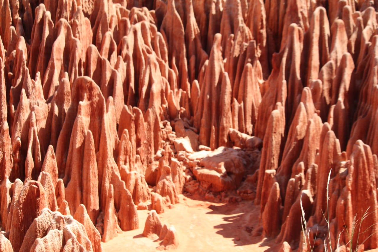 red tsingy
