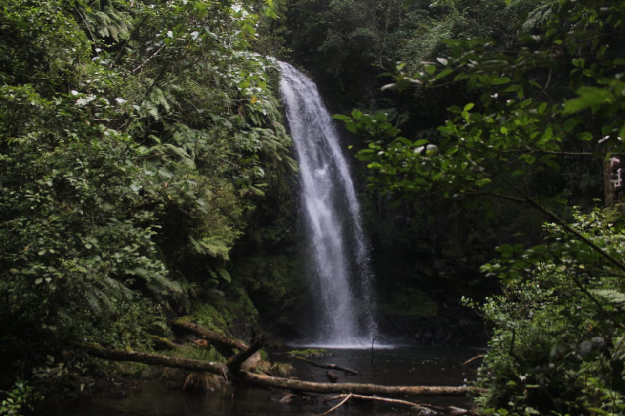 waterfall