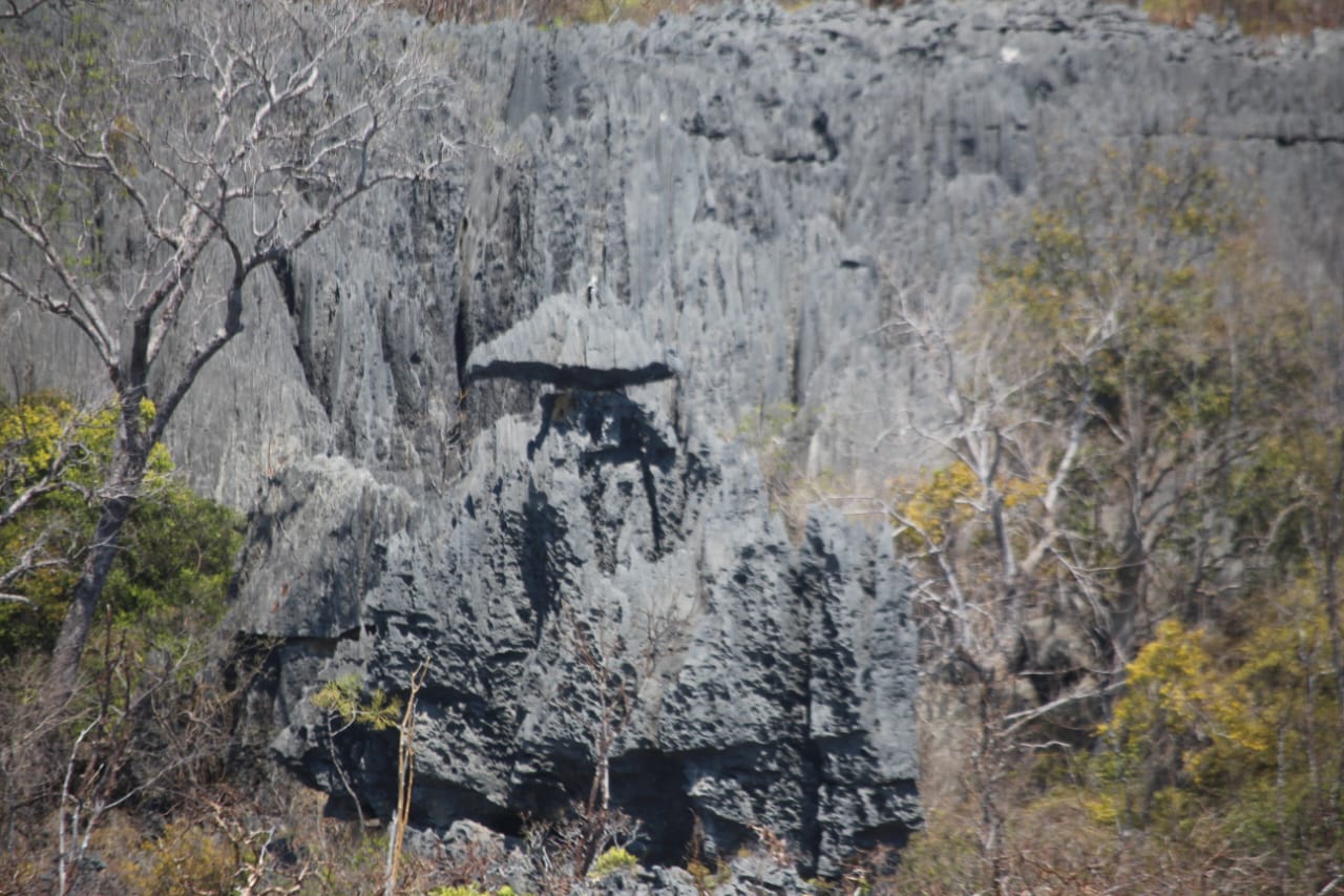 bemaraha
